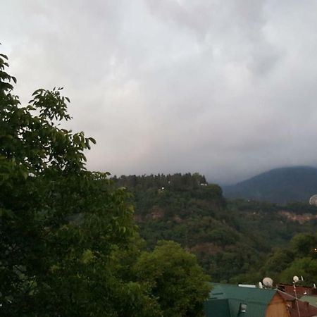 Hillside Orbeliani Residence Боржоми Экстерьер фото